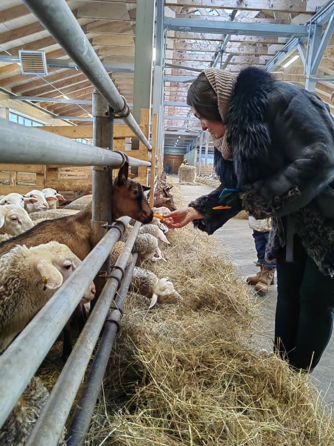 Спорт-Марафон Парк 5*